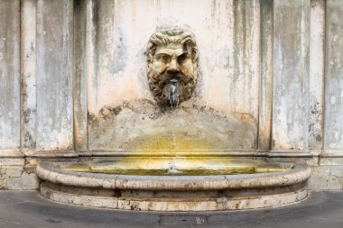 Vatikan Müzesi, Fontana della Pigna avlusundaki çeşme