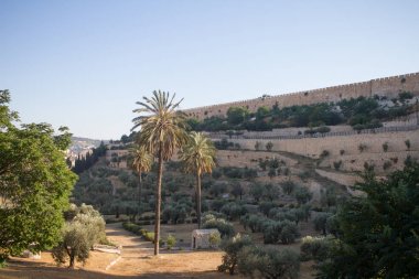 Jerusalem eski şehir duvara görüntüleyin. İsrail