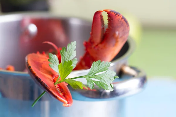 パセリ楽しい鍋で水を沸騰のロブスター シーフード コンセプト — ストック写真