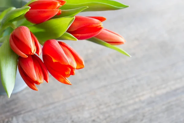 Ostern Frühling Rote Tulpen Abstrakten Hintergrund Nahaufnahme — Stockfoto