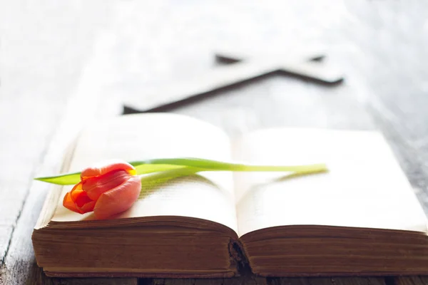 Пасхальный Весенний Тюльпан Библия Крестом Абстрактного Фона — стоковое фото