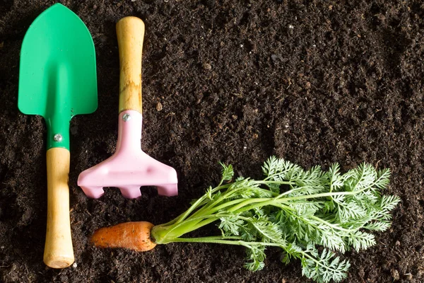 Attrezzi Giardino Carota Sul Terreno Astratto Sfondo Primaverile — Foto Stock