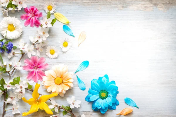 Frühling Sommer Blumen Auf Hölzernen Retro Planken Abstrakten Floralen Hintergrund — Stockfoto