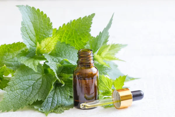 Nettle Essence Oil Small Bottle Fresh Leaves White Background — Stock Photo, Image