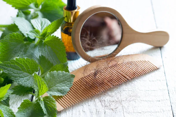 Nettle Cure Loss Hair Alternative Medicine Concept — Stock Photo, Image