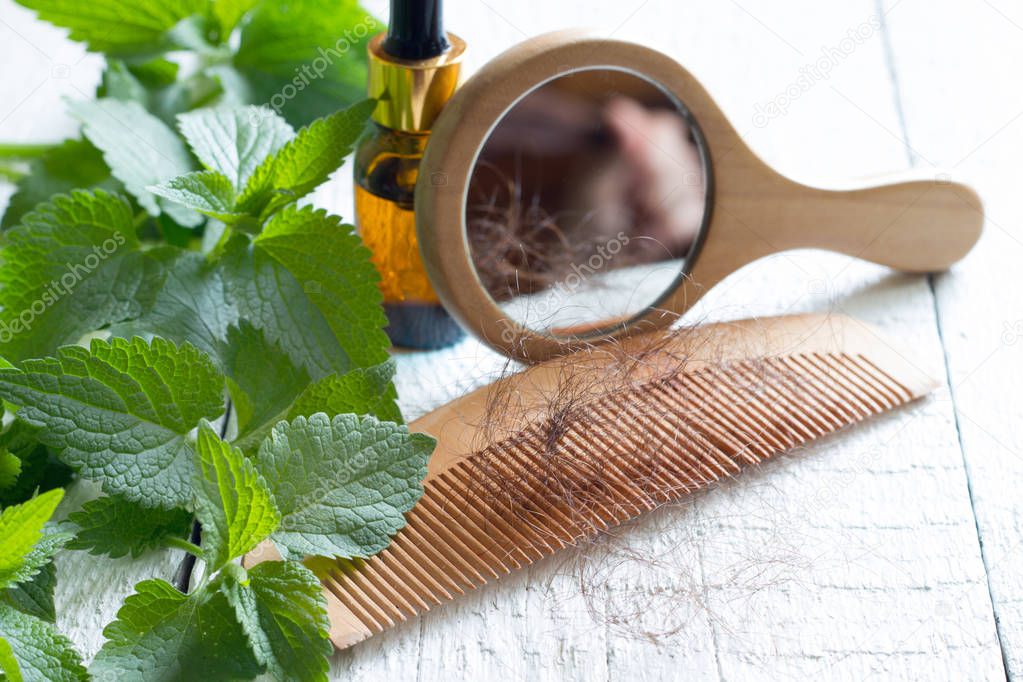 Nettle and cure of loss  hair alternative medicine concept