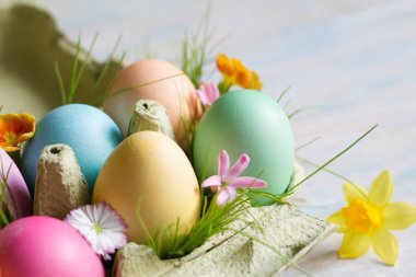 Bahar çiçekleri açan Paskalya renkli yumurtalar ve yeşil çimenler. Hayat çiçekleri.