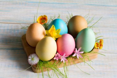 Bahar çiçekleri açan Paskalya renkli yumurtalar ve yeşil çimenler. Hayat çiçekleri.