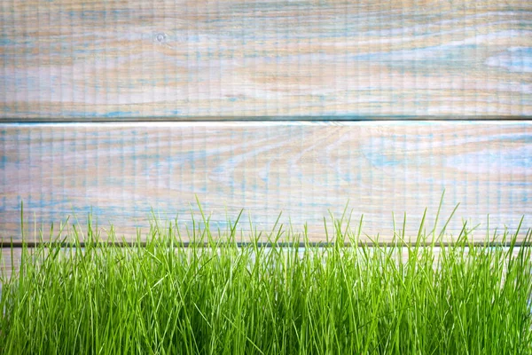 Frühling Osterhintergrund Mit Grünem Gras Und Leeren Alten Retro Brettern — Stockfoto