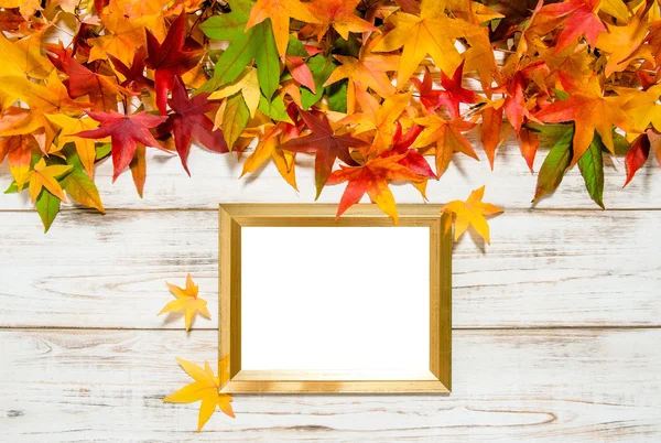 Folhas de outono e moldura dourada para texto de imagem — Fotografia de Stock