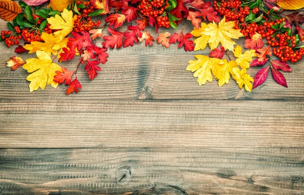 Rosso giallo foglie bacche Autunno sfondo. Stile vintage — Foto Stock