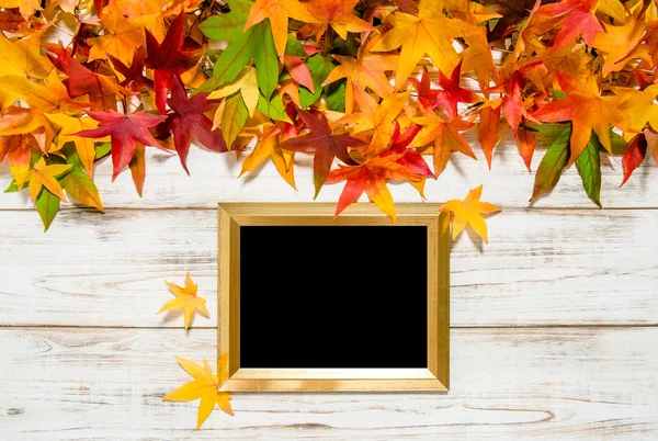 Осенние листья и золотая рамка — стоковое фото