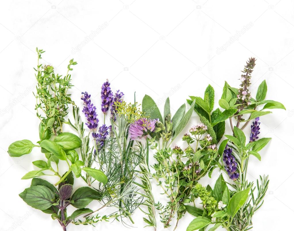 Fresh herbs on marble stone background