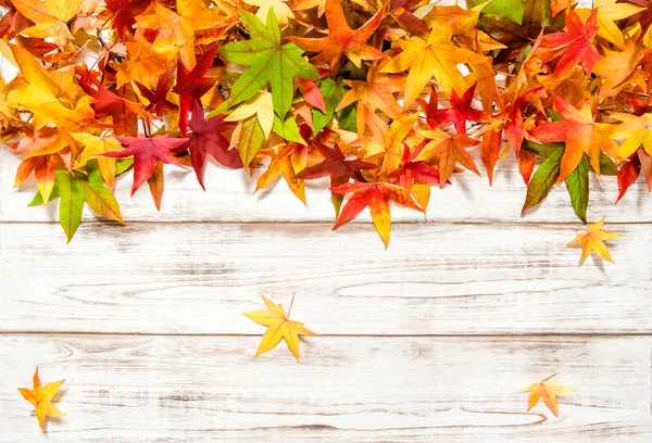 Hojas de otoño sobre fondo de madera brillante —  Fotos de Stock