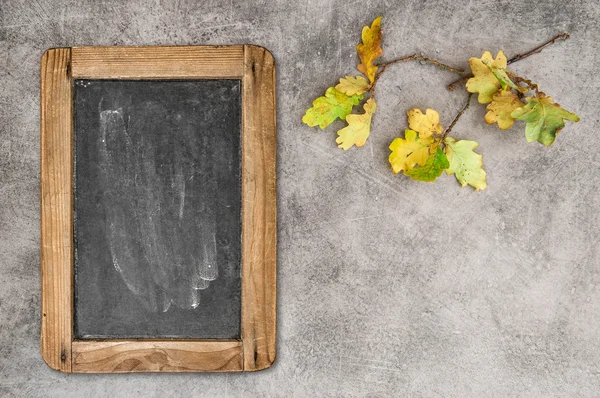 Yellow oak leaves with vintage chalkboard — Stock Photo, Image