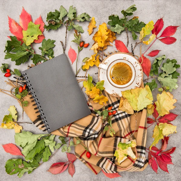 Herbstblätter, Buch und Tasse Kaffee — Stockfoto