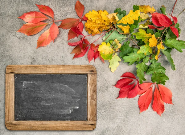 Hojas de otoño con pizarra vintage —  Fotos de Stock