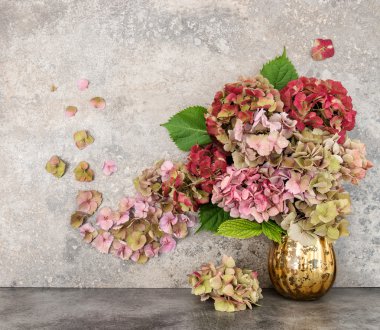 HORTENSIA çiçek buketi grungy taş arka plan