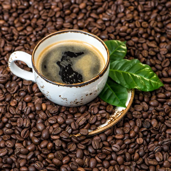 Černá káva zelené listy kávová zrna pozadí náměstí — Stock fotografie
