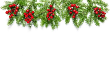 Noel ağacı dalları kırmızı meyveler tatil dekorasyon