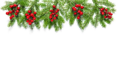 Noel ağacı dalları tatil dekorasyon afiş