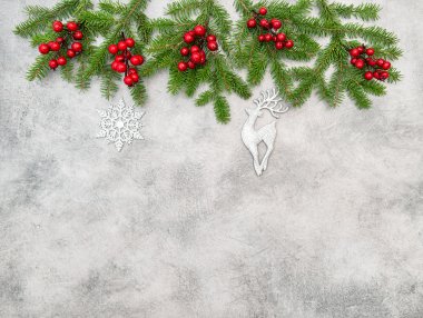 Kırmızı meyveler gümüş dekorasyon Noel ağacı dalları