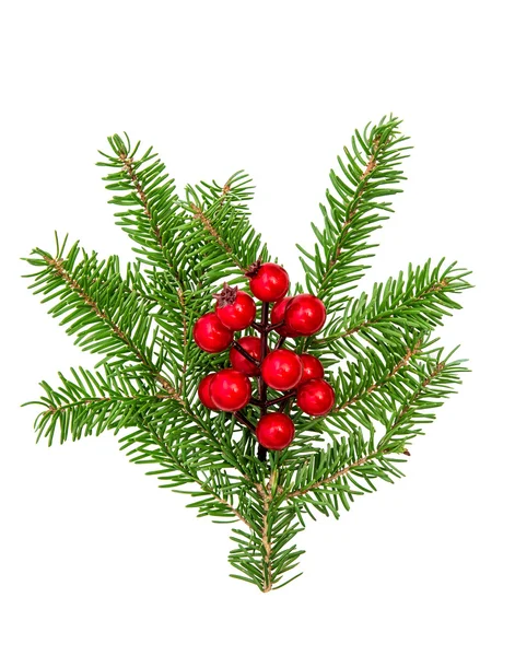 Christmas tree branches red berries decoration — Stock Photo, Image