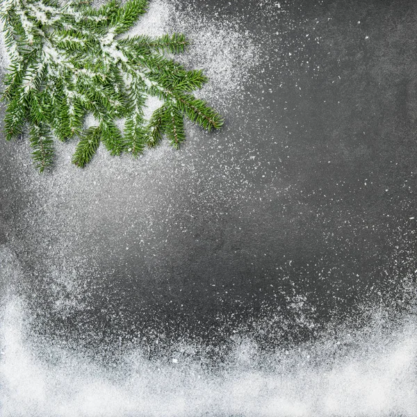 Branches de pin dans la neige. Noël vacances fond — Photo
