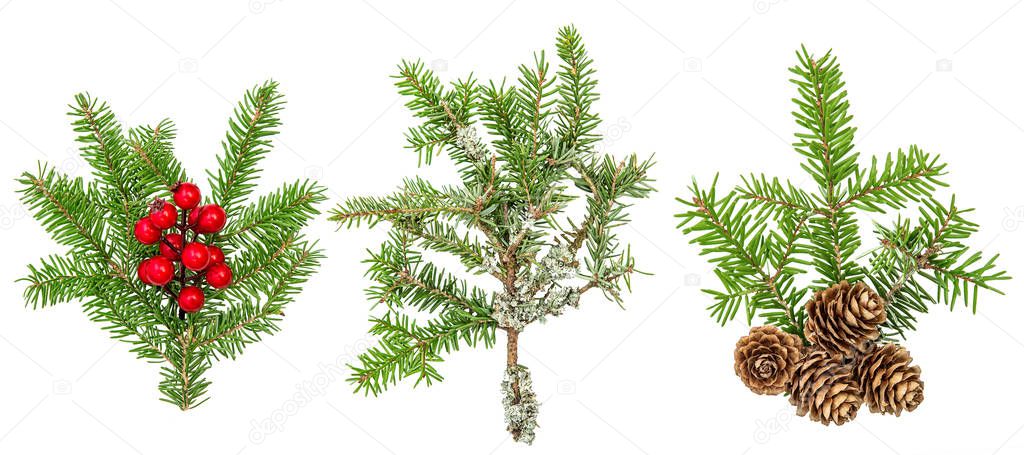 Christmas tree branches red berries cones decoration