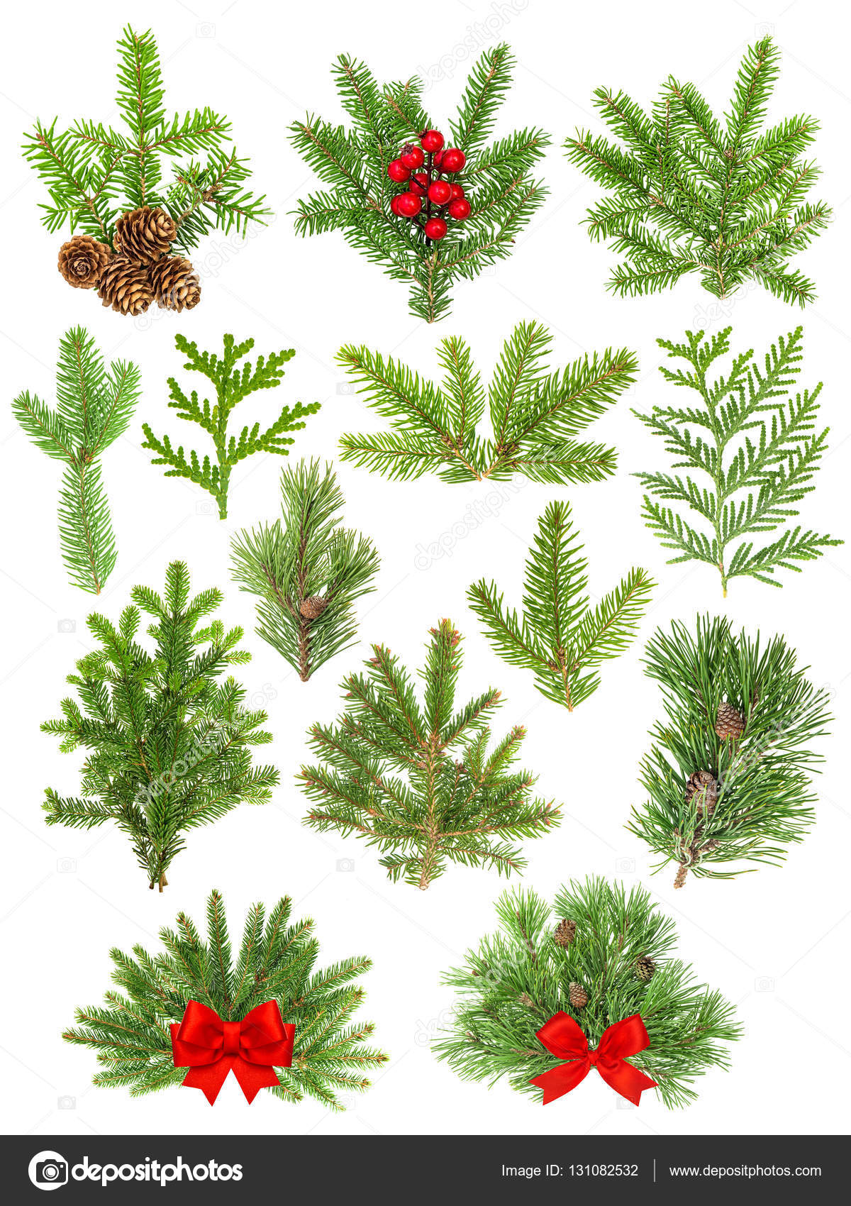 Coniferous tree branches Christmas decoration red ribbon berries