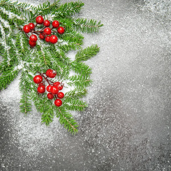 Weihnachtsdekoration Kiefernzweige rote Beeren Feiertage Backgrou — Stockfoto