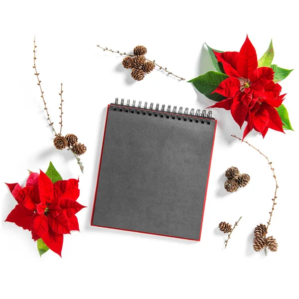 Natale fiore Poinsettia vuoto sketchbook pagina Floreale Appartamento la — Foto Stock