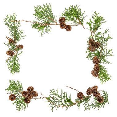 Çerçeve yaprak dökmeyen ağaç branchescones Noel çiçek düz lay