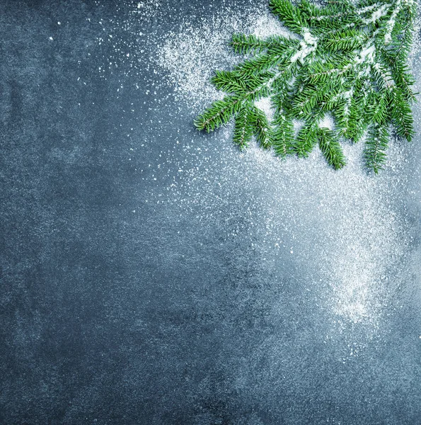 Κλαδιών χριστουγεννιάτικο δέντρο χιόνι χειμερινές διακοπές σε σκούρο φόντο — Φωτογραφία Αρχείου