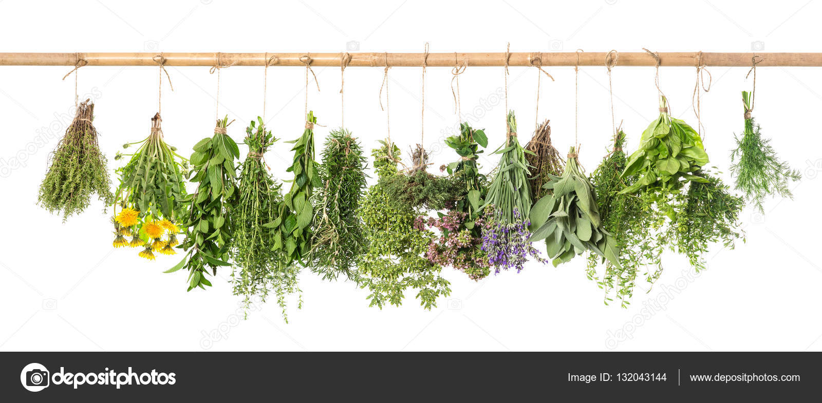 Fresh herbs hanging Basil rosemary thyme mint dill sage — Stock Photo