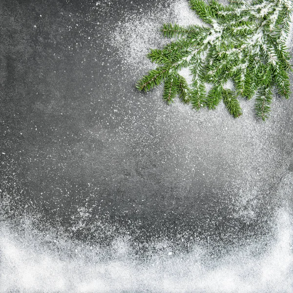 Pine branches snow Christmas holidays winter background — Stock Photo, Image