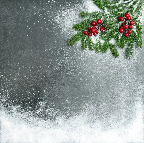 Pine branches red berries in snow Christmas background — Stock Photo, Image