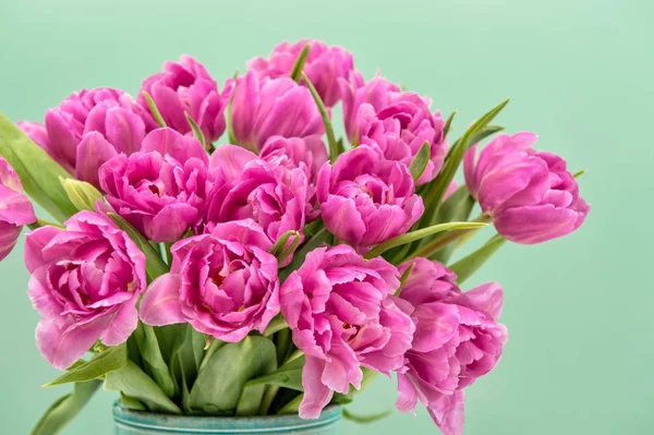 Printemps fleurs de tulipes fond turquoise — Photo