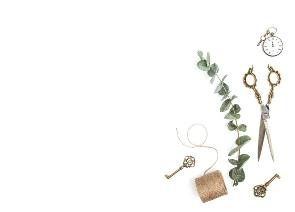 Minimalista plana laica herramientas vintage ramas de eucalipto verde — Foto de Stock