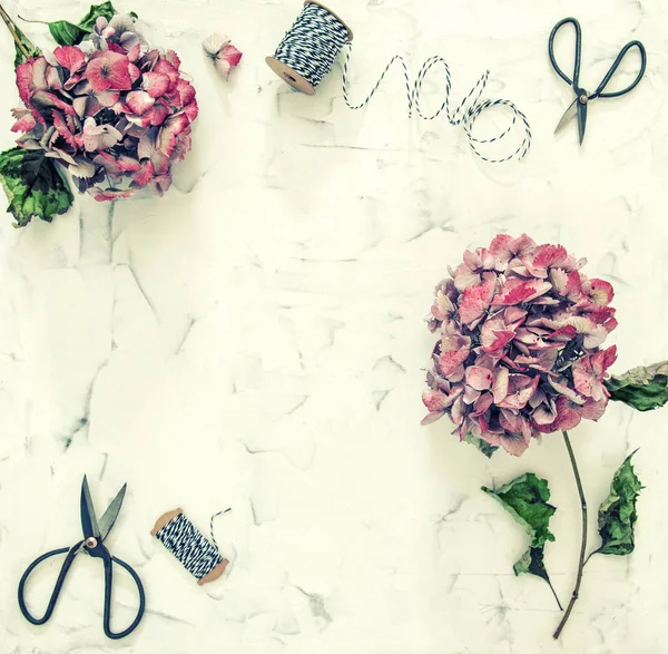 Flat lay hortensia flowers scissors vintage toned — Stock Photo, Image