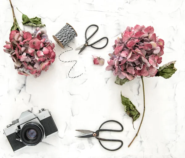 Piatto lay hortensia fiori vintage forbici fotocamera — Foto Stock
