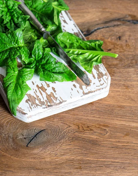 Liście świeżego szpinaku zdrowej ekologicznej żywności — Zdjęcie stockowe