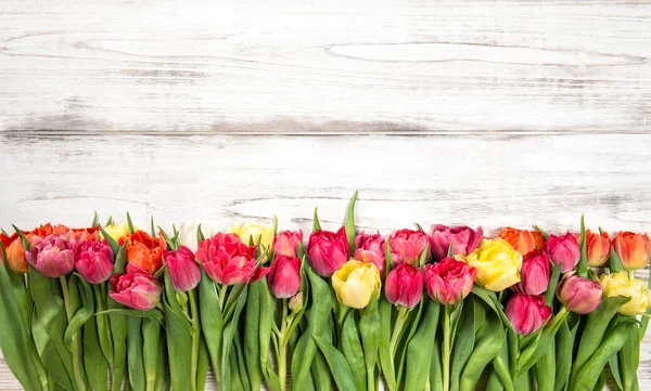 Fresh multicolor tulips Spring flowers wooden background — Stock Photo, Image