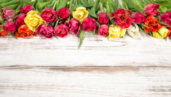 Primavera tulipa flores fundo de madeira — Fotografia de Stock