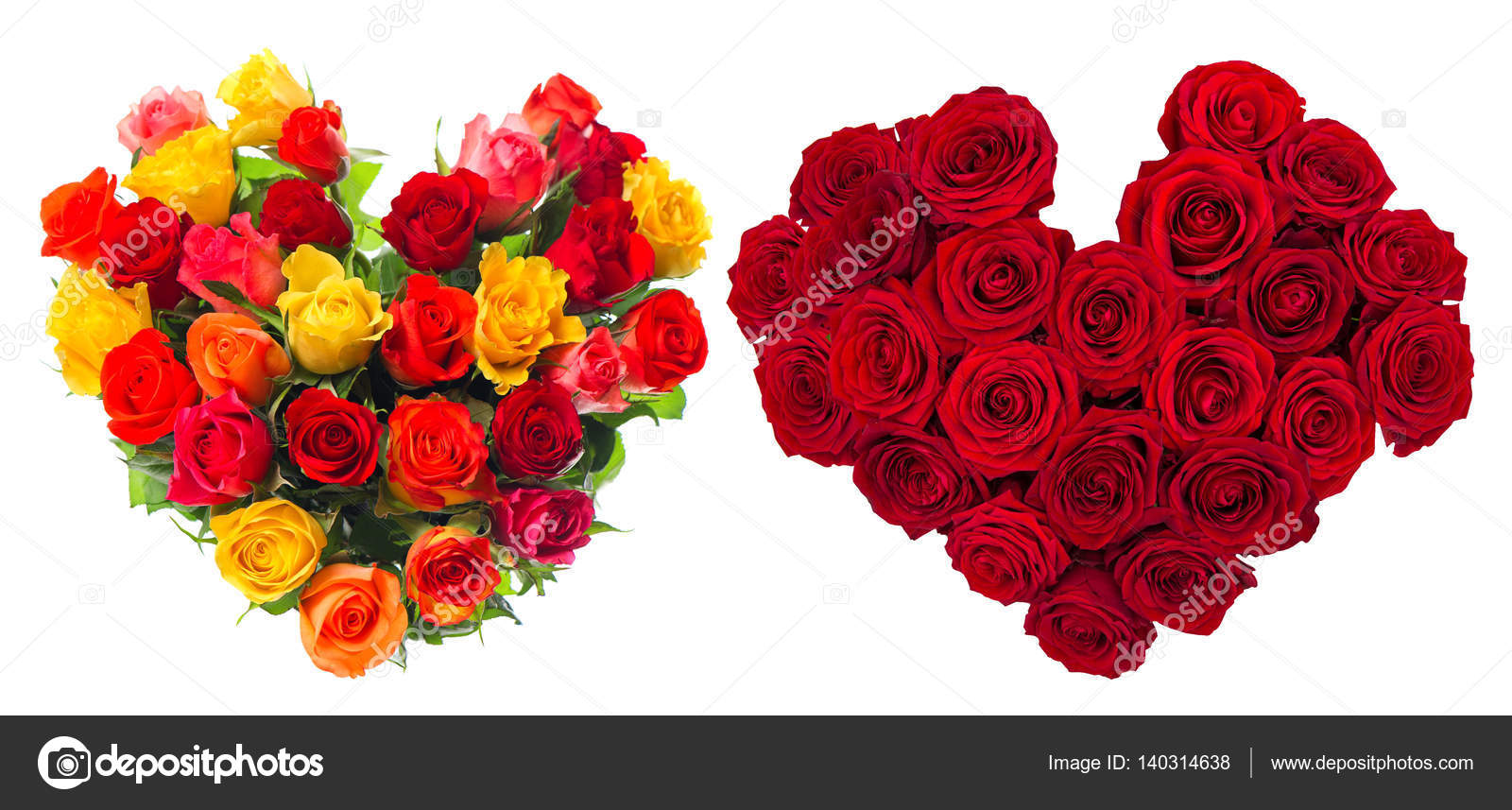 Fleurs Roses Bouquet Coeur Fond Blanc Photographie