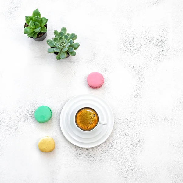 Kaffe macarons kakor saftiga växter tabell platt lay — Stockfoto