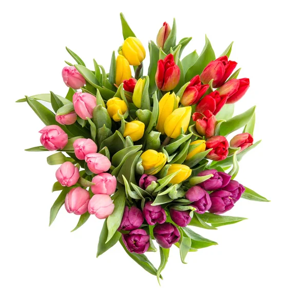 Tulip kwiat bukiet na białym tle — Zdjęcie stockowe
