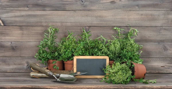 부엌 나물 칠판 정원 도구 음식 재료 — 스톡 사진