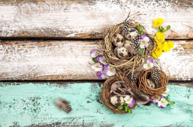 Paskalya dekorasyon yumurta homo çiçek Üstten Görünüm