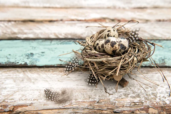 Huevos de Pascua fondo rústico de madera — Foto de Stock